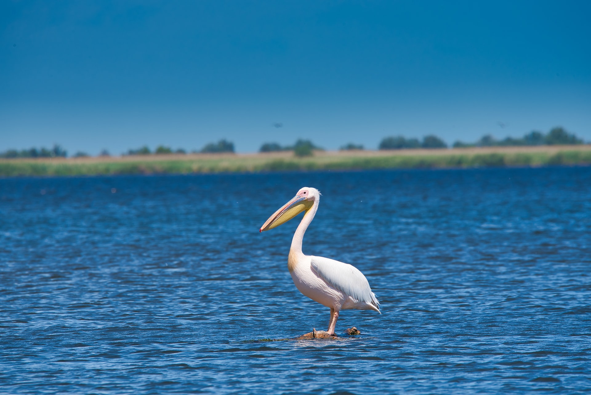 sarichioi lac